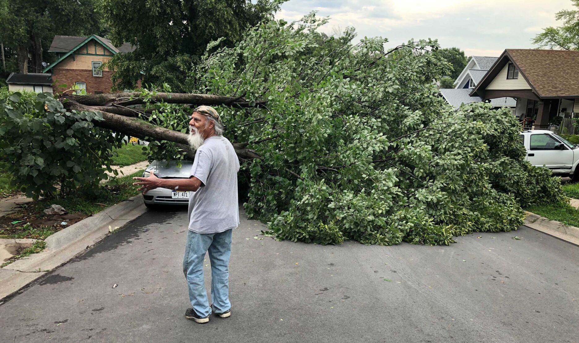 Tree Down